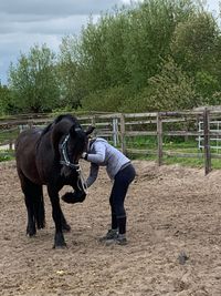 Jong paard leren voetjes geven